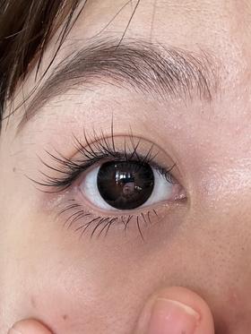 woolilens 特小黑 14.0mm 半年抛 非离子 有同款大直径特大黑