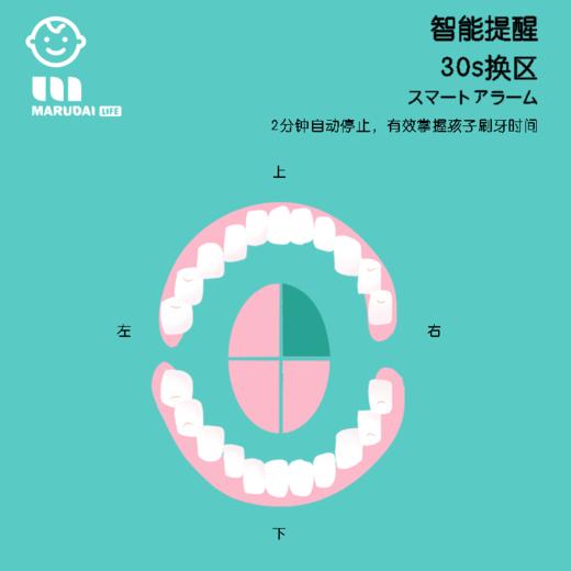 丸太儿童电动牙刷HW 商品图6