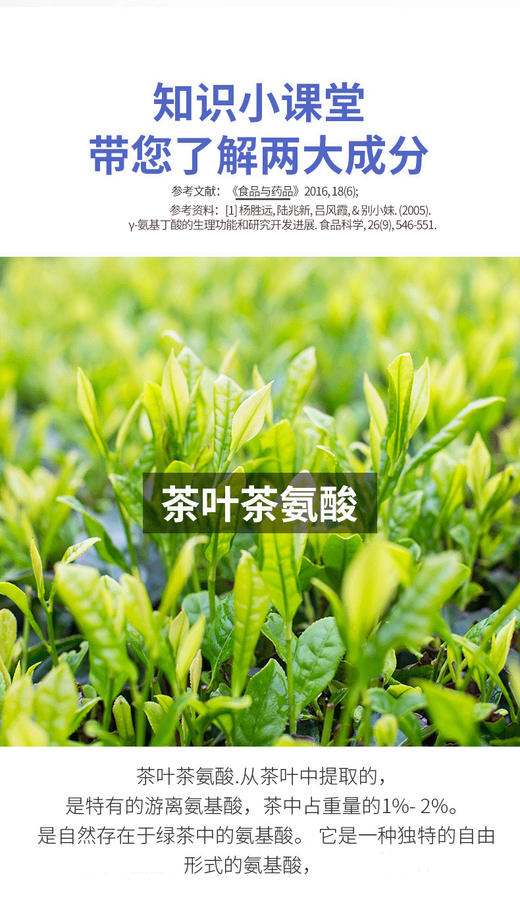 【粉丝特惠】斯诺森茶叶茶氨酸γ-氨基丁酸粉 美国原装进口 睡眠好伴侣 商品图12