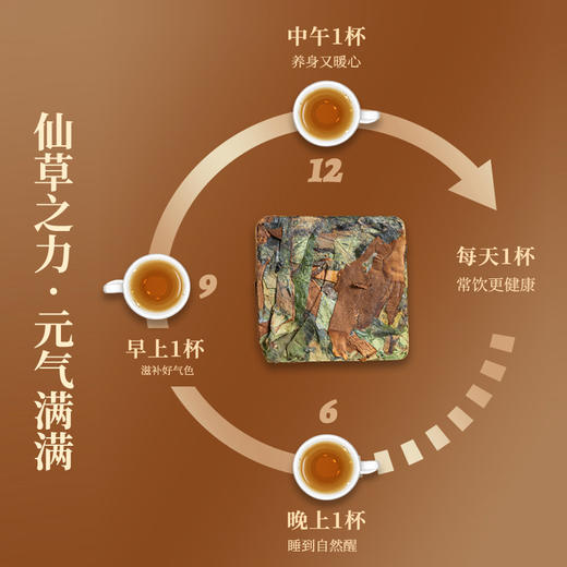 元生泰 有龙则灵.灵芝白茶 3g*16泡/盒 武夷山紫灵芝+福建松溪白茶 商品图1
