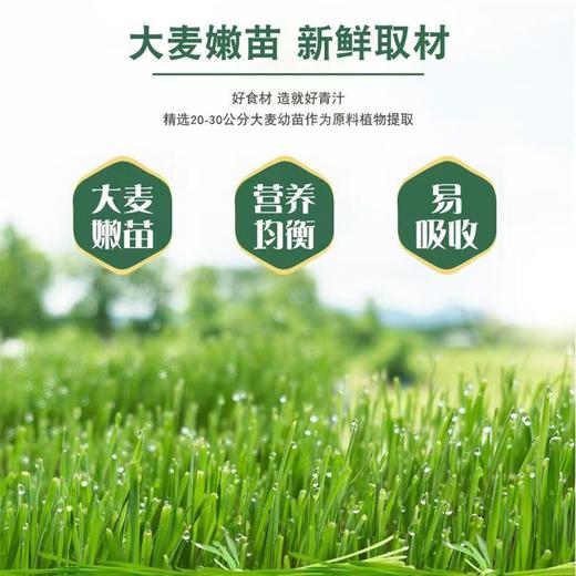 【甄选】宿清粉营养美味速食冲调新鲜食材300g/罐 商品图2