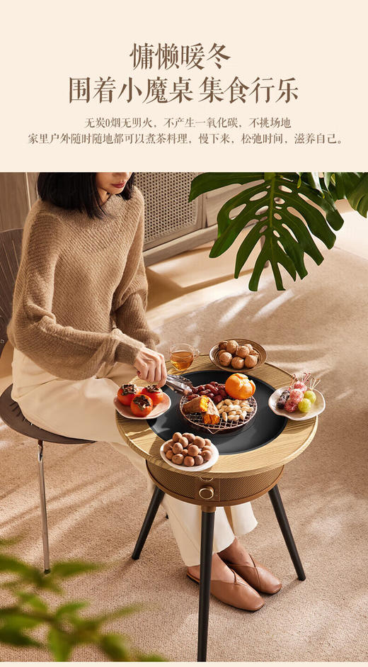 艾美特（Airmate）旗舰新品围炉煮茶取暖器AIR13电烤炉   YS 商品图14