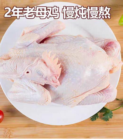 YP 晟世孚众老母鸡套组 500g/袋*10袋（固形物含量≥ 40） 商品图1