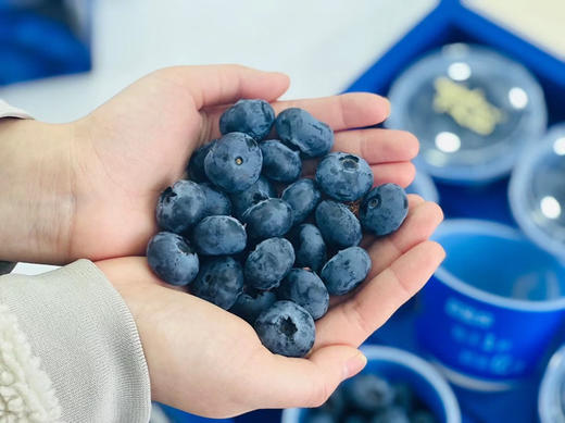 云南枝冠蓝莓杯，—硬度高，爽脆，纯甜、味道浓郁 商品图4