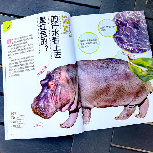 【5-12岁】你没想过的小动物系列(套装4册)超有趣的动物小知识科普书！ 商品图5