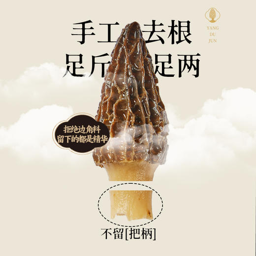 燕之坊羊肚菌30g 福建宁德古田特产甄选干货蘑菇煲汤食材商超同款 商品图2