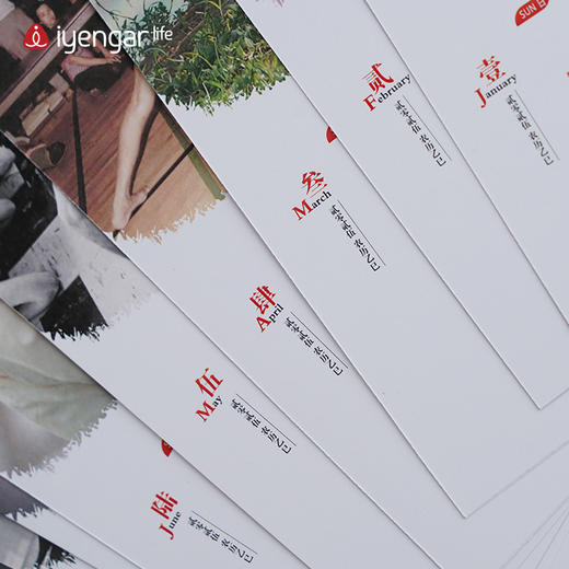 艾扬格life F1090 2025年瑜伽元素台历 2025年最新款台历来袭！（可订制LOGO，20件起订订制费50元） 商品图2