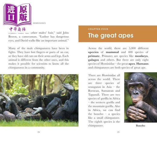 【中商原版】企鹅阅读分级指导3级 王朝 黑猩猩Penguin Readers Level 3 Dynasties Chimpanzees (ELT Graded Reader)英文原版 商品图2