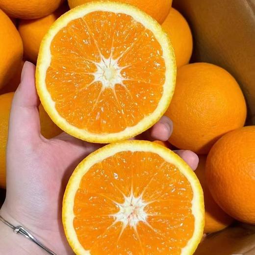 太空橙（脐橙） 约5斤/箱  |水果 商品图0