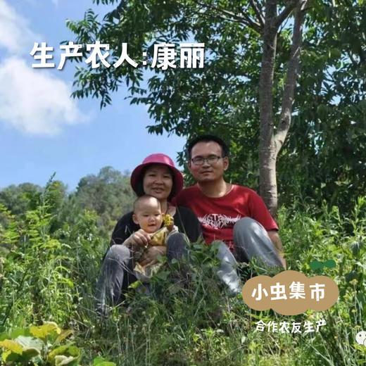 云南深山野生青花椒 100g/瓶 | 合作农友生产，产自云南永仁，生产者：康丽 ＆【公平贸易农人定价】 商品图3