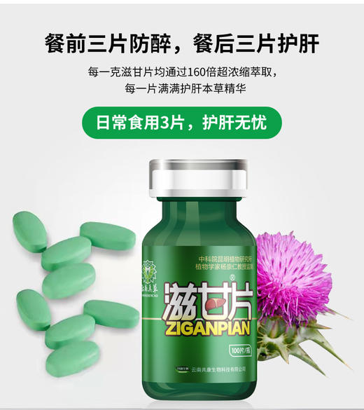 热卖中【云南著名家杨崇仁教授亲研滋甘片】中科院云南真草滋甘片 护肝熬夜少运动 道地6味 云南真草配伍零添加零副作用 商品图1