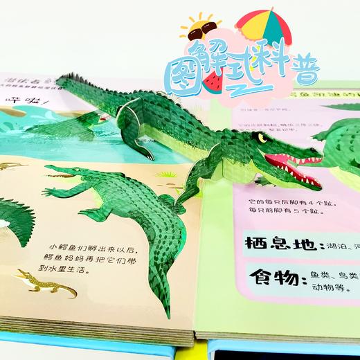 拼插野生动物书 商品图5