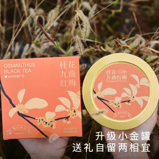 艾格吃饱了2025新茶桂花九曲红梅红茶 浓香耐泡 商品图4