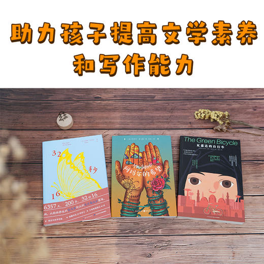 新少年励志成长国际大奖小说：全3册（7+岁） 商品图2