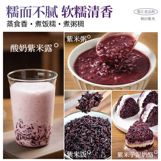 璞匠 墨江梯田紫米紫糯米新米糙米五谷杂粮米甜品紫米面包500g 商品图3