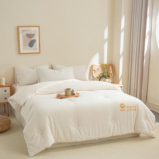 全棉提花棉花被新疆棉花被子被芯加厚保暖家用单双人纯棉宿舍被褥 商品图2