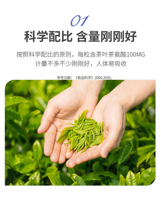 【粉丝特惠】斯诺森茶叶茶氨酸γ-氨基丁酸粉 美国原装进口 睡眠好伴侣 商品图6