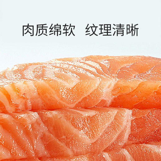 三文鱼整条4.9-5.4kg 原料原产国-智利 商品图3
