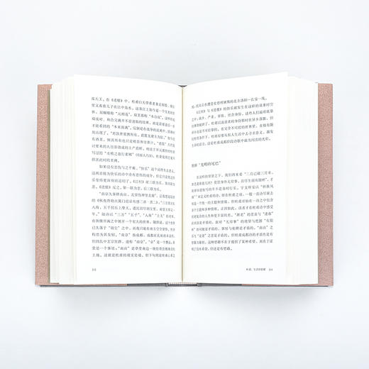 九诗心:暗夜里的文学启明 黄晓丹 著（多规格可选） 商品图3