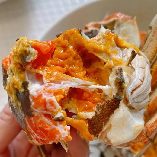 阳澄湖大闸蟹 | 原产地直采 新鲜到家 肉肥黄满 脚长黄毛 每只螃蟹都有身份证 扫码可溯源 死蟹不足称包赔  鲜活大闸蟹&礼赠蟹卡同步发售 商品图1