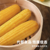 当季鲜穗！内蒙古沙漠玉米 1小时锁鲜 甜糯香甜 低卡饱腹 健康粗粮 商品缩略图2