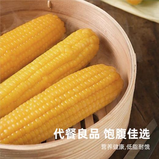 当季鲜穗！内蒙古沙漠玉米 1小时锁鲜 甜糯香甜 低卡饱腹 健康粗粮 商品图2