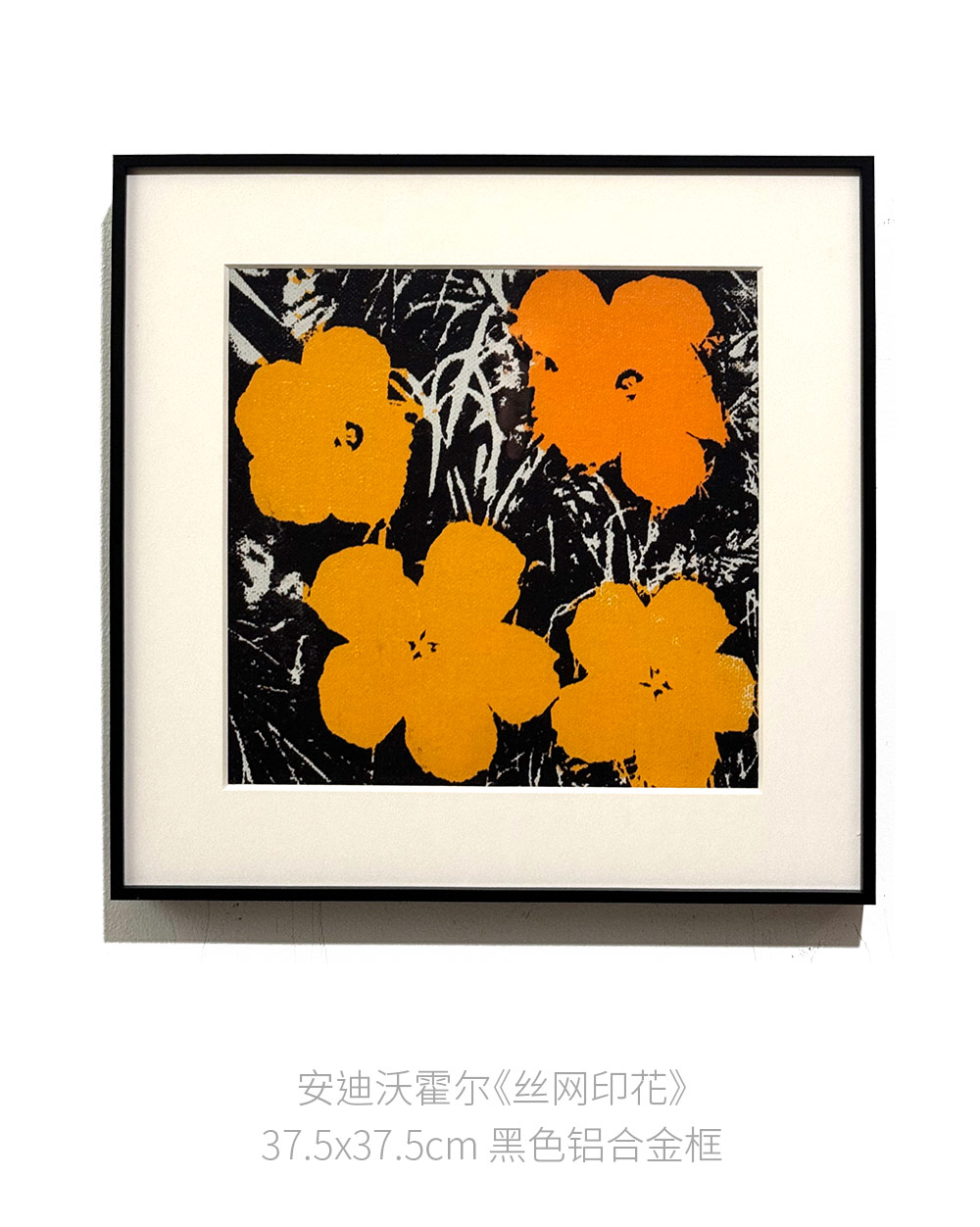 伽罗 JALO 挂画-安迪沃霍尔-丝网印花