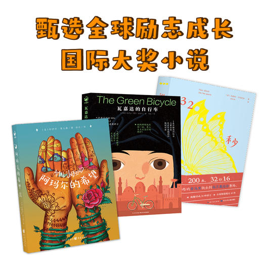 新少年励志成长国际大奖小说：全3册（7+岁） 商品图1