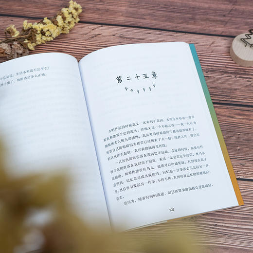 新少年励志成长国际大奖小说：全3册（7+岁） 商品图5