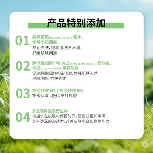 孝菇林酵素抗皱紧致面膜 商品图3