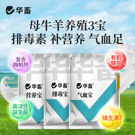 母畜 猪牛羊养殖三宝 营养宝+气血宝+排毒宝 排毒素解毒补充营养气血足催奶下奶 商品图0