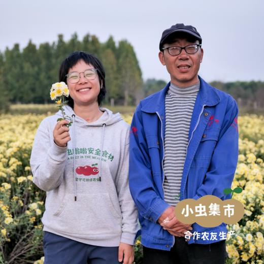 【2025年新菊】生态老品种怀菊花 50g/罐*2 | 合作农友生产，产自河南焦作，生产者：王红亮、亢天利、李永胜 *【公平贸易农人定价】 商品图3
