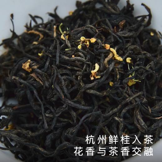 艾格吃饱了2025新茶桂花九曲红梅红茶 浓香耐泡 商品图2