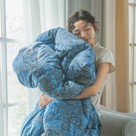 苏美达X故宫联名款塞纳河畔红嘴雁鸭绒被|一床过冬，又轻又暖不钻绒 商品图2