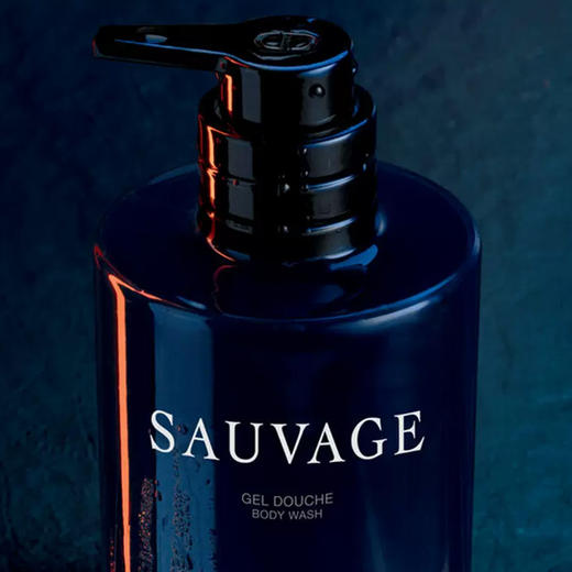 迪奥Dior旷野男士沐浴露250ml 清爽洁净木质香留香芬芳【CDF】 商品图1