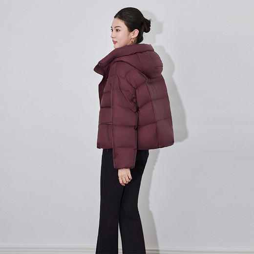 【高货wl】全新升级【铂金会员441/天猫599/差价158】(12337) 洛诗琳高级感时尚通勤连帽抽绳皮标加厚暖冬面包羽绒服 商品图4