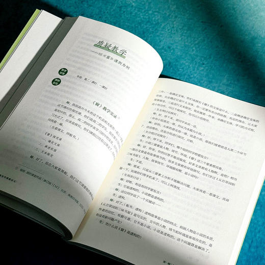深究学理教语文 大夏书系 刘兆刚 程翔语文课例探析 商品图10