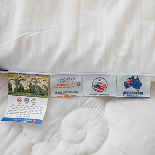 被芯100%澳洲进口羊毛冬被春秋被加厚冬被全棉面料细密防钻毛 商品图4