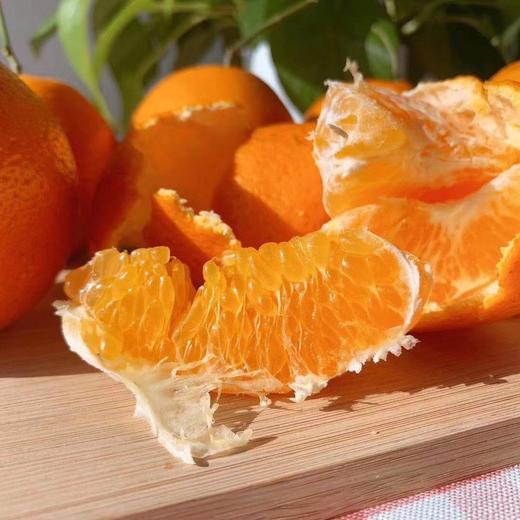 [最农公社]彩箱主推|四川春见耙耙柑5斤8斤小果中果/大果特大巨/无霸果王纯甜微酸 商品图6