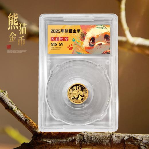 2025熊猫金币1克！首日封装版！ 商品图0