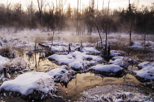 1月12日【颂•雪 黑龙江】扎龙，五大连池，大平台库尔滨雾凇、林海奇石雪松7天 商品图9