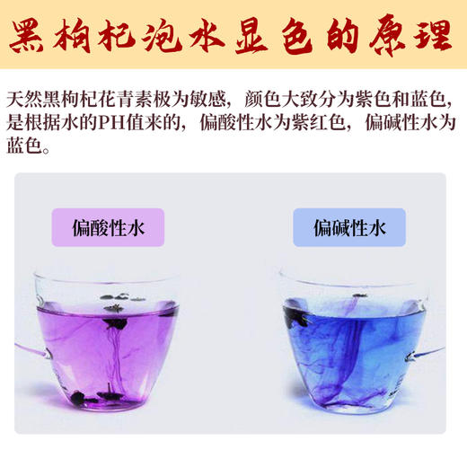 千鸿堂青海黑枸杞 商品图1