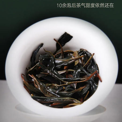 吉顺号普洱茶2019年紫鹃春茶紫芽紫叶普洱生茶100g/饼 商品图8