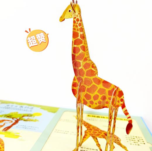 拼插野生动物书 商品图2