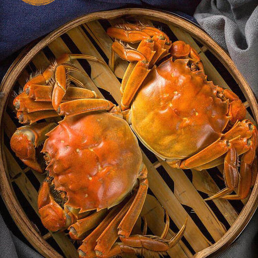 阳澄湖大闸蟹 | 原产地直采 新鲜到家 肉肥黄满 脚长黄毛 每只螃蟹都有身份证 扫码可溯源 死蟹不足称包赔  鲜活大闸蟹&礼赠蟹卡同步发售 商品图5