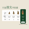 燕之坊羊肚菌30g 福建宁德古田特产甄选干货蘑菇煲汤食材商超同款 商品缩略图1