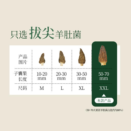 燕之坊羊肚菌30g 福建宁德古田特产甄选干货蘑菇煲汤食材商超同款 商品图1