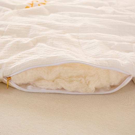 全棉提花棉花被新疆棉花被子被芯加厚保暖家用单双人纯棉宿舍被褥 商品图7