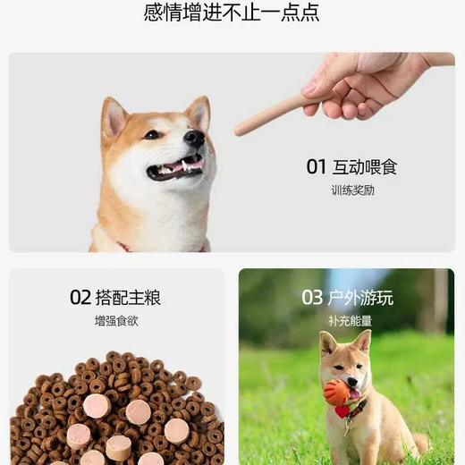毛大胖宠物火腿肠零食猫狗低盐训练奖励鸡肉味香肠猫犬通用/袋 商品图4