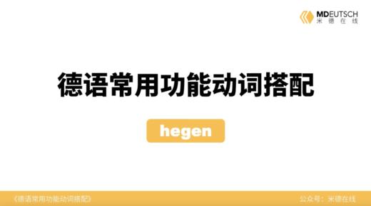 德语常用功能动词搭配第18讲 - hegen 商品图0